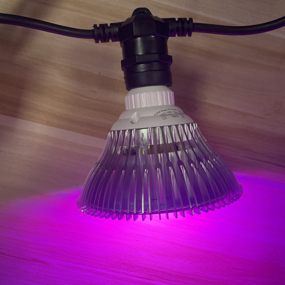 10M Cable LED String Commercia - String Light Outdoor recension och pris